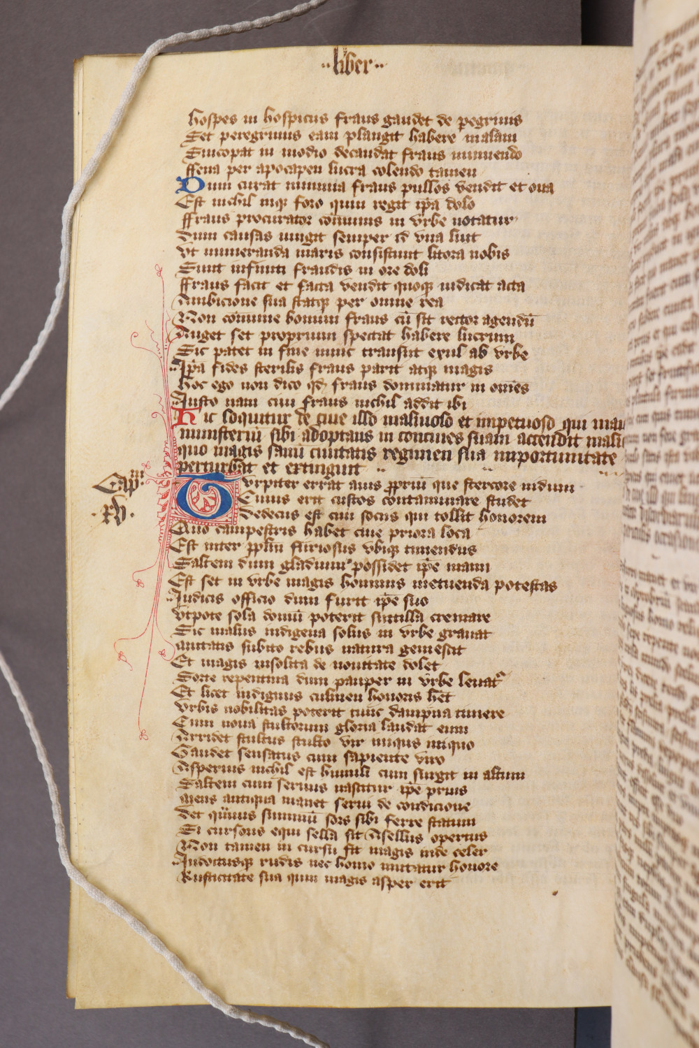 Folio 82 verso